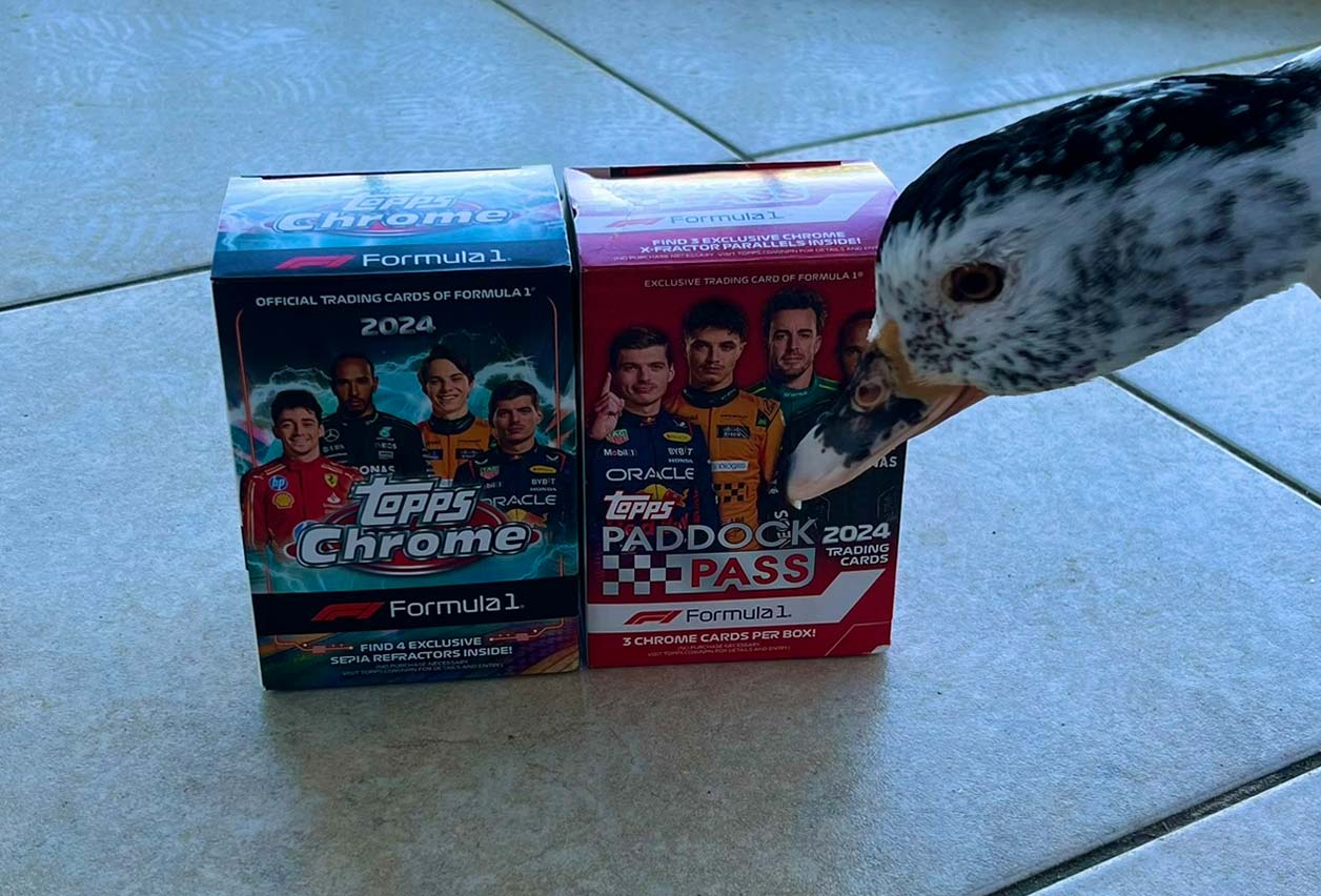 Why F1 Cards Are Gaining Popularity